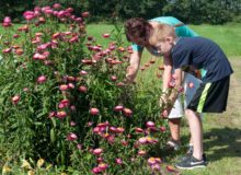 Bloemen plukken bij Bloemenparadyske