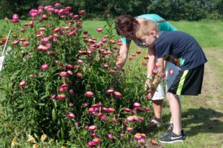 Bloemen plukken bij Bloemenparadyske