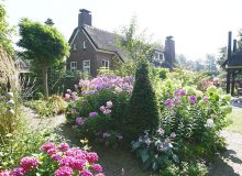 Workshop bloemschikken bij De Teeroas