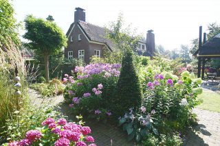 Workshop bloemschikken bij De Teeroas