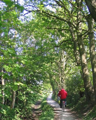Fietstocht Rondje Burgumermar (36 km)
