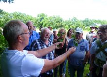 Bramenbloeiexcursie met Karst Meijer in De Kruidhof (gratis!)