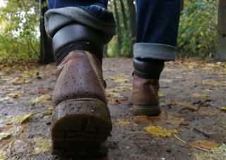 Wandelroute Noardburgum Belvedêrepaad (4 km)