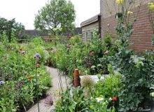 Open tuin Het Hoekje