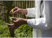 Kruidenwandeling met Natuurlijk Trudy