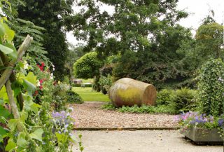 Open tuin De Vertakking