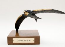 Nominatie Gouden Zwaluw