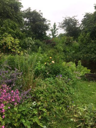 GEANNULEERD: Open tuin Lieuwe Stins