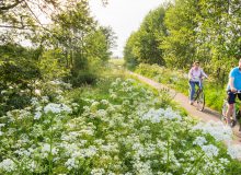 Fietstocht Ontdek de Noardlike Fryske Wâlden (127 km)