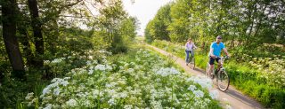 Fietstocht Ontdek de Noardlike Fryske Wâlden (127 km)