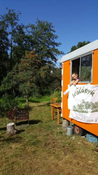Open voedselbos familie Pilat