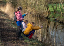 Kids ontdekken ‘natuerlik ferskaat’ met KidzKlix