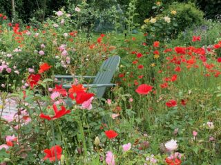 Open tuin Janna’s Bloementuin