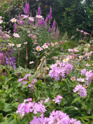 Open tuin en atelier De Rike Ierde
