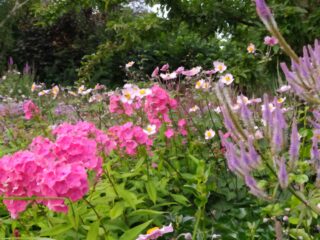 Open tuin en atelier De Rike Ierde