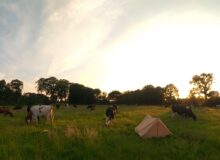 Pop-up camping Sliepe yn ‘e Wâlden