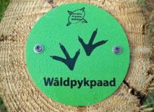 Wandelroute Buitenpost Wâldpykpaad