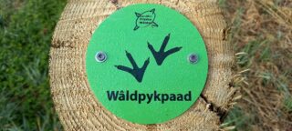 Wandelroute Buitenpost Wâldpykpaad