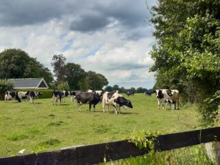 Open boerderij biologisch melkveebedrijf Marinus