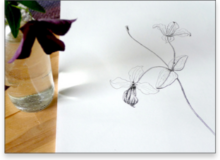 Workshop botanisch brommels schilderen