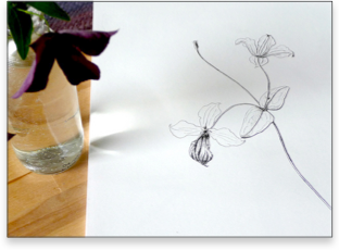 Workshop botanisch brommels schilderen