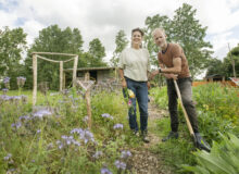 Open tuin gemeenschapstuin Sûnte