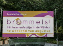 Activiteit organiseren op Brommels!