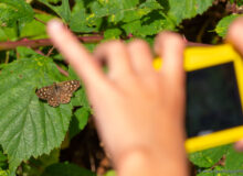 Natuurtalenten KidzKlix fotografieworkshop De Baanderij en MeM