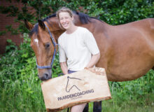 Paardencoachsessie bij Paardencoaching Friesland