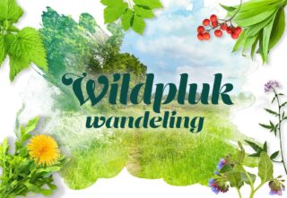 Wildplukwandeling met koffie/thee en gebak