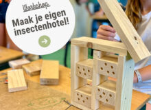 Workshop insectenhotel maken Stadshout