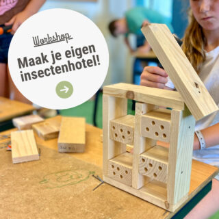 Workshop insectenhotel maken Stadshout