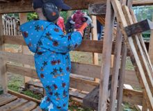 Kinderactiviteiten in speel/leertuin Noardburgum