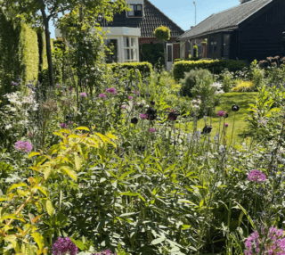 Open tuin Antje Keegstra