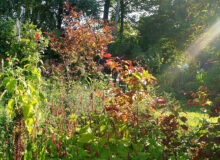 Open tuin Fokke’s Tuin