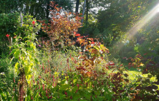 Open tuin Fokke’s Tuin