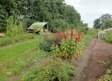 Open tuin Tuin van Karin en Margriet