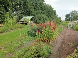 Open tuin Tuin van Karin en Margriet