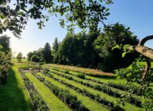 Open tuin Pluktuin De Wâlden