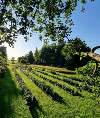 Open tuin Pluktuin De Wâlden
