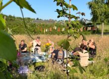 Yoga en brunch tussen de brommels (geannuleerd)