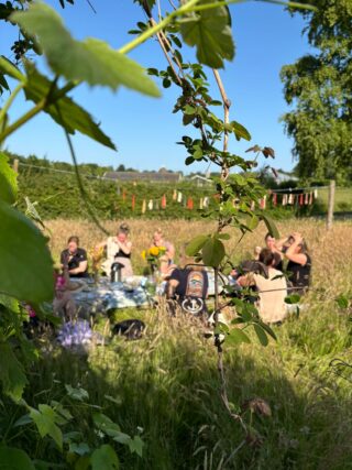 Yoga en brunch tussen de brommels (geannuleerd)