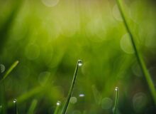 Dauw yin yoga